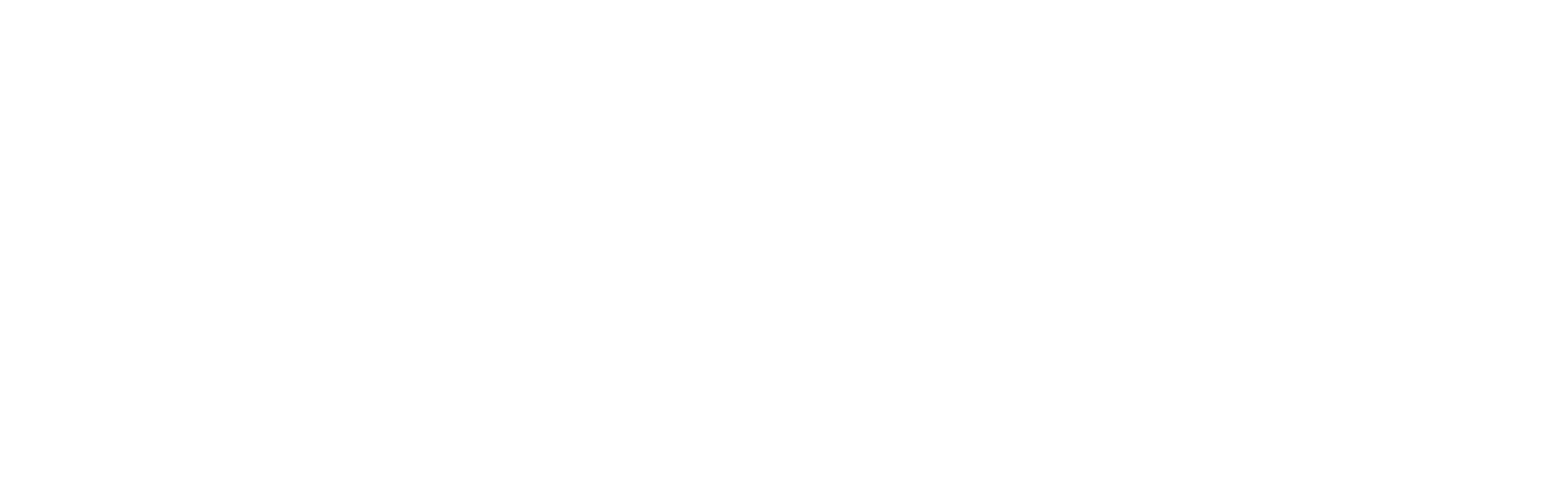 Benjamin Knauss Signature Logo
